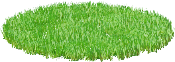 3D Lawn Grass